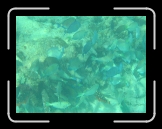 Tortola 252 * 2048 x 1536 * (1.38MB)